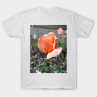 Peach Rosebud T-Shirt